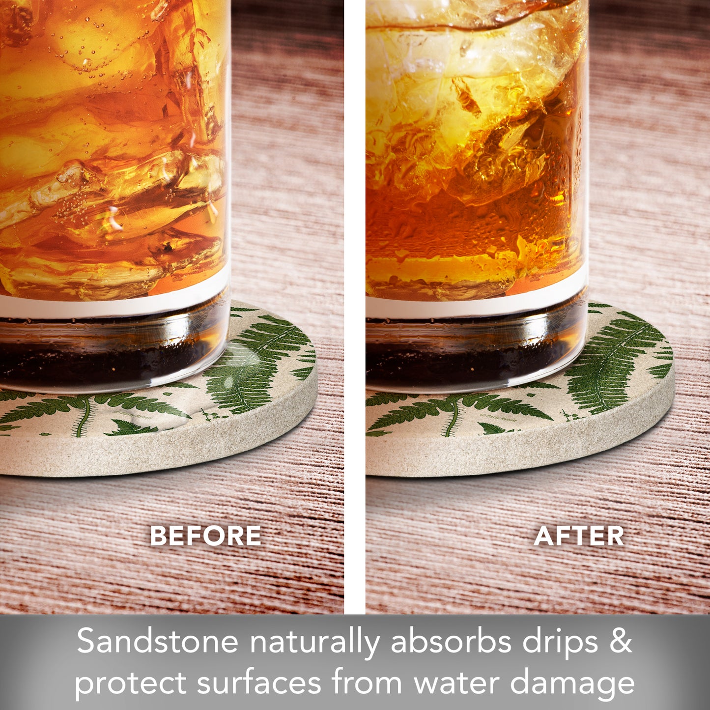 Thirstystone Ferns 4 Pack Round Natural Sandstone Coasters with Protective Cork Backing Manufactured in The USA