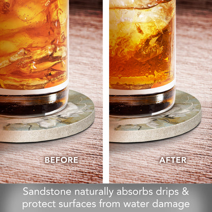 Thirstystone Floral Dreamscape 4 Pack Round Natural Sandstone Coasters with Protective Cork Backing Manufactured in The USA
