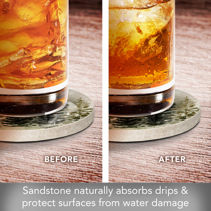 Thirstystone Misty Tree Line 4 Pack Natural Sandstone Coasters 4" Round Manufactured in the USA