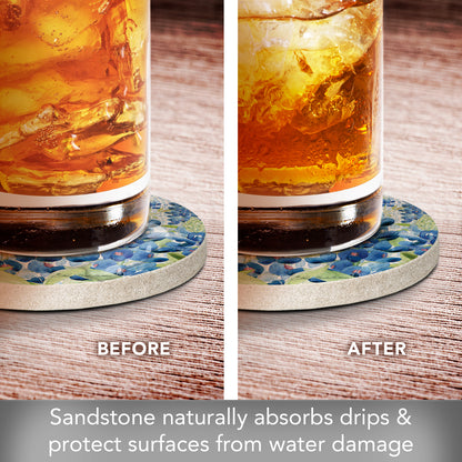 Thirstystone Bluebonnet Fields 4 Pack Natural Sandstone Coasters 4" Round Manufactured in The USA