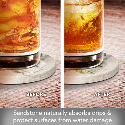 Thirstystone Hummingbird Watercolor 4 Pack Round Natural Sandstone Coasters 4" Round Manufactured in The USA