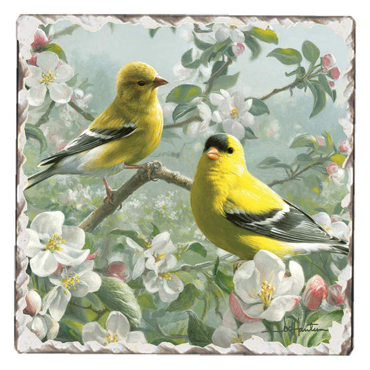 Thirstystone Goldfinches with White Blooms Single Tumbled Tile Stone Coaster with Protective Cork Backing Manufactured in The USA 4" Square, Artistic, Easily Wipes Clean