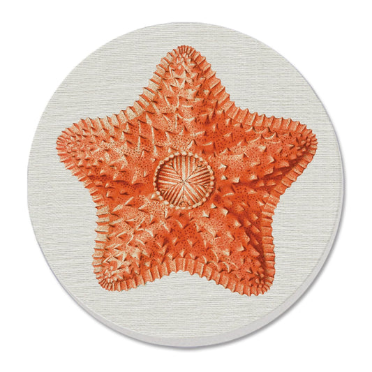 Thirstystone Starfish Dream Round Absorbent Stone Coaster with Protective Cork Backing Manufactured in The USA 4" Diameter