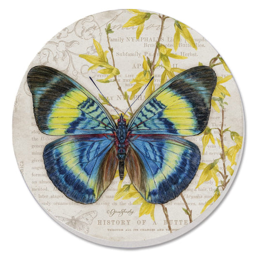 Thirstystone Flasher Butterfly Single Round Absorbent Stone Coaster with Protective Cork Backing Manufactured in The USA 4" Diameter