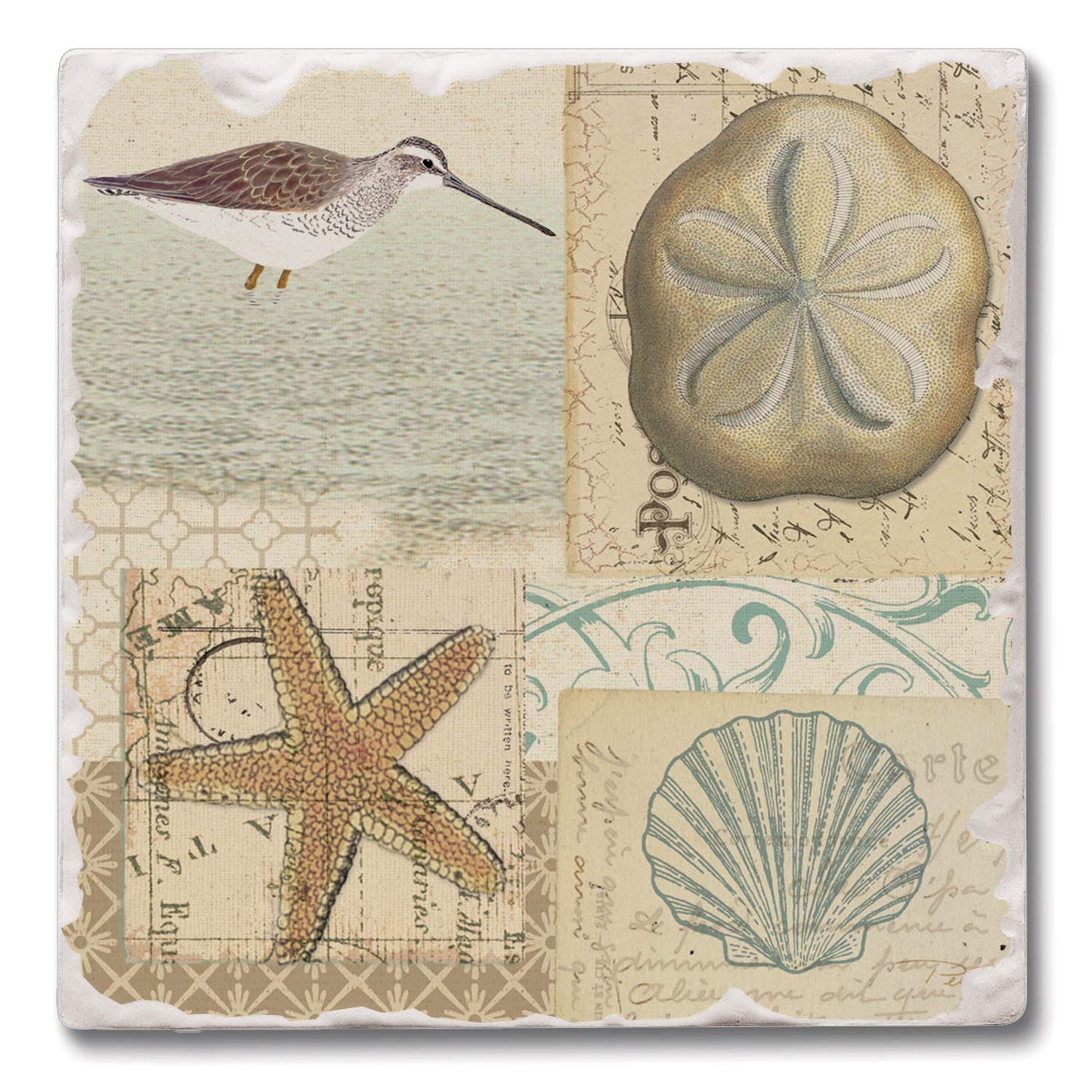 Thirstystone Shell Collage 4 Pack Tumbled Tile Stone Coasters 4" Square Manufactured in the USA