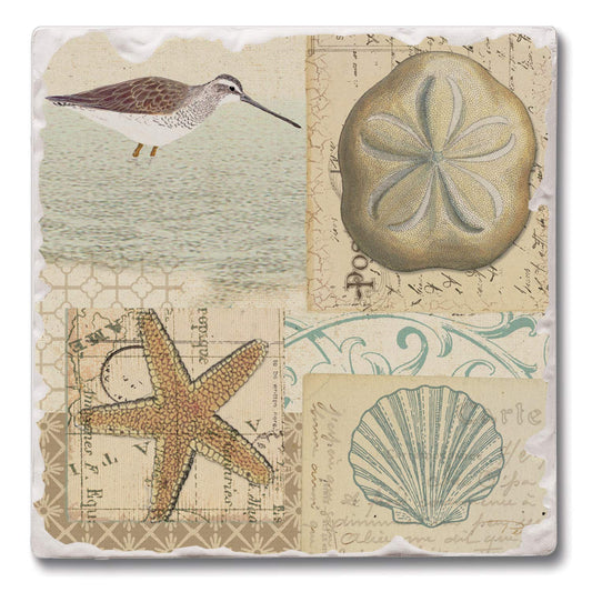 Thirstystone Shell Collage 4 Pack Tumbled Tile Stone Coasters 4" Square Manufactured in the USA