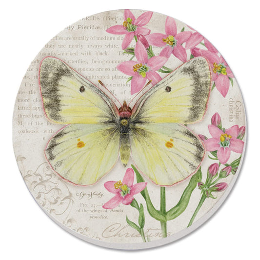 Thirstystone Christina Sulphur Butterfly Single Round Absorbent Stone Coaster with Protective Cork Backing Manufactured in The USA 4" Diameter