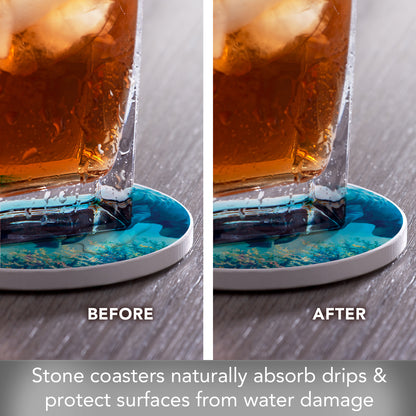 Thirstystone Underwater Manatees 4 Pack Round Absorbent Stone Coasters 4" Diameter