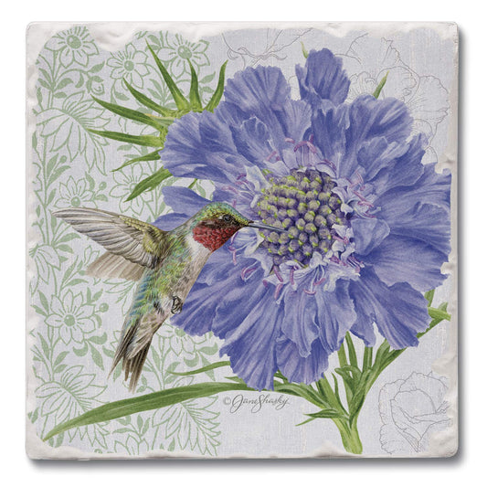 Thirstystone Scabiosa Single Tumbled Tile Stone Coaster with Protective Cork Backing Manufactured in The USA 4" Square, Artistic, Easily Wipes Clean