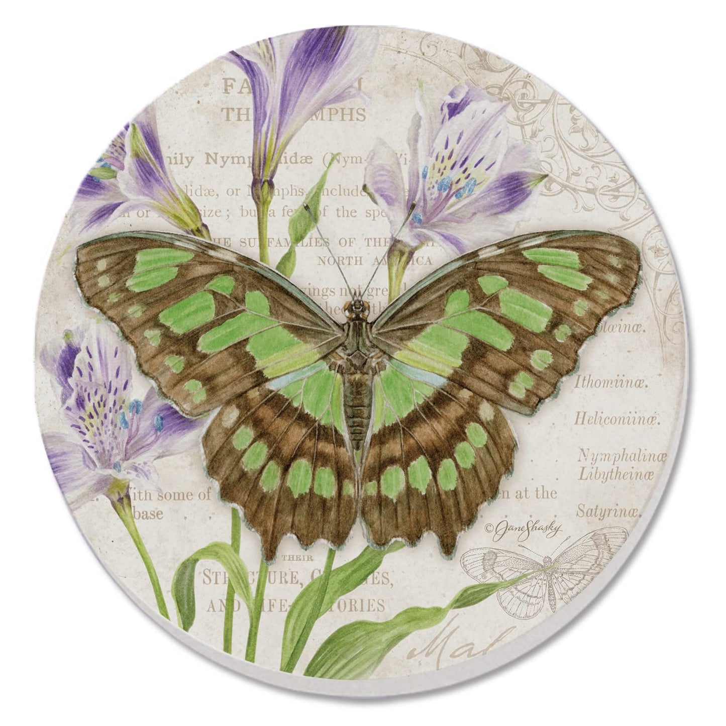 Thirstystone Malachite Butterfly Single Round Absorbent Stone Coaster with Protective Cork Backing Manufactured in The USA 4" Diameter