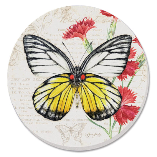 Thirstystone Sawtooth Butterfly Single Round Absorbent Stone Coaster with Protective Cork Backing Manufactured in The USA 4" Diameter