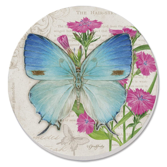 Thirstystone Hairstreak Butterfly Single Round Absorbent Stone Coaster with Protective Cork Backing Manufactured in The USA 4" Diameter