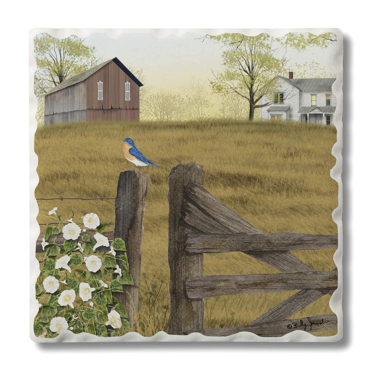 Thirstystone Morning Glory Single Tumlbed Tile Stone Coaster with Protective Cork Backing Manufactured in The USA 4" Square, Artistic, Easily Wipes Clean