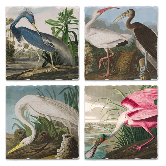 Thirstystone John James Audubon Collection 4-Pack Assorted Tumbled Tile Stone Coasters 4" Square