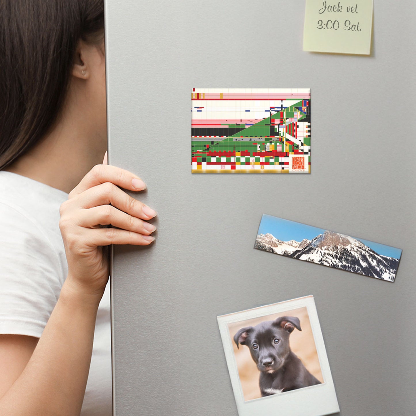 Frank Lloyd Wright's Hillside Curtain Decorative Magnet Manufactured in the USA