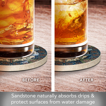 Thirstystone Apple Dragonfly 4 Pack Round Natural Sandstone Coasters with Protective Cork Backing Manufactured in The USA