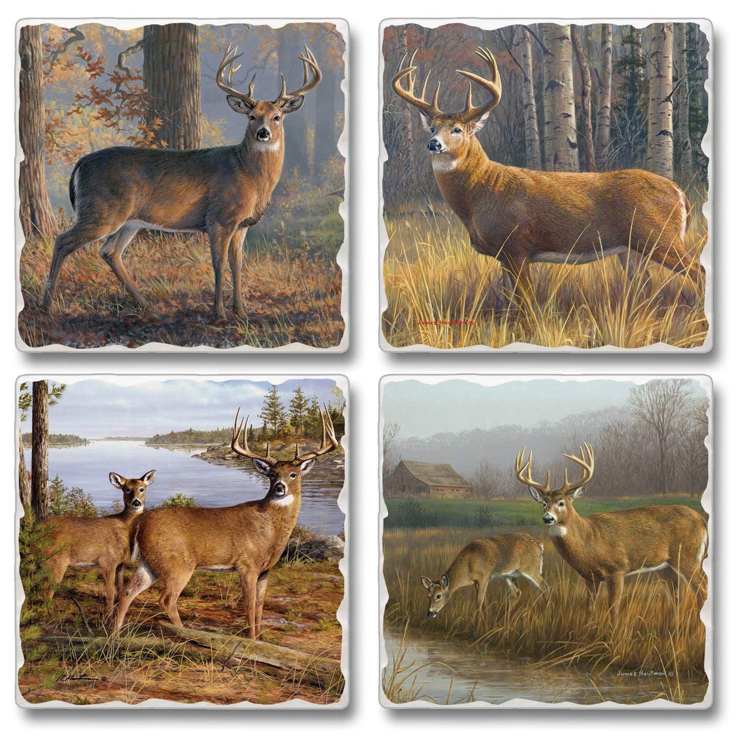 Thirstystone Legends Deer 4-Pack Assorted Tumbled Tile Stone Coasters 4" Square