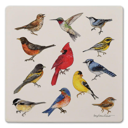 Thirstystone Bird Study Decorative Heat Tolerant Stone Trivet with Non-Skid Cork Backing 8” Square
