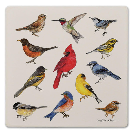 Thirstystone Bird Study Decorative Heat Tolerant Stone Trivet with Non-Skid Cork Backing 8” Square