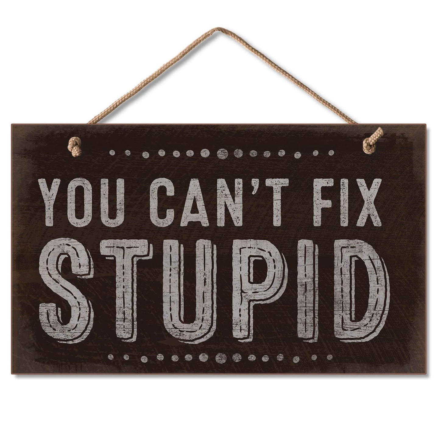 CounterArt You Can't Fix Stupid Humorous Hanging Wood Wall Sign 9.5” x 5.75” Made in the USA Features Braided Rope Hanger