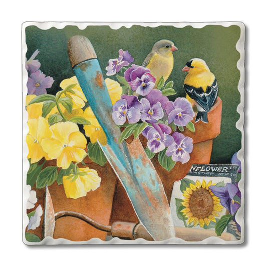Thirstystone Bird Watching Single Tumbled Tile Stone Coaster with Protective Cork Backing Manufactured in The USA 4" Square, Artistic, Easily Wipes Clean
