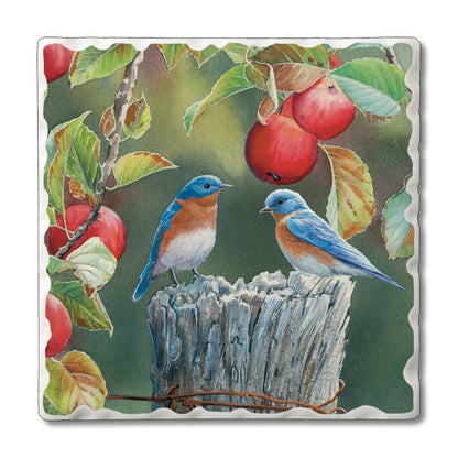 Thirstystone Bluebird Pair Single Tumbled Tile Stone Coaster with Protective Cork Backing Manufactured in The USA 4" Square, Artistic, Easily Wipes Clean
