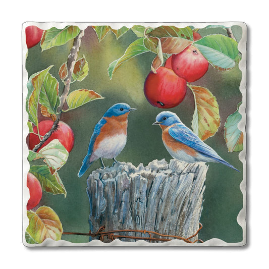Thirstystone Bluebird Pair Single Tumbled Tile Stone Coaster with Protective Cork Backing Manufactured in The USA 4" Square, Artistic, Easily Wipes Clean