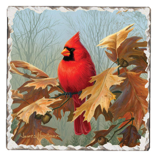 Thirstystone Fall Cardinal Single Tumbled Tile Stone Coaster with Protective Cork Backing Manufactured in The USA 4" Square, Artistic, Easily Wipes Clean