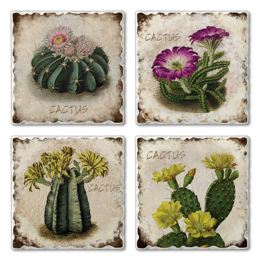 Thirstystone Cactus Flowers 4 Pack Assorted Tumbled Tile Stone Coasters 4" Square