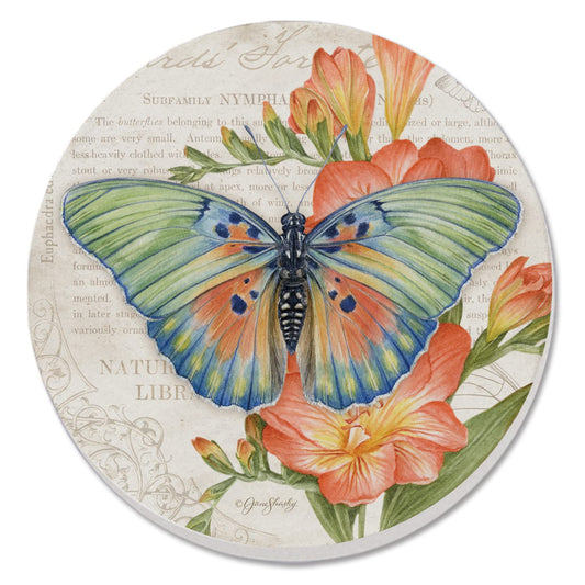 Thirstystone Edwards Forester Butterfly Single Round Absorbent Stone Coaster with Protective Cork Backing Manufactured in The USA 4" Diameter