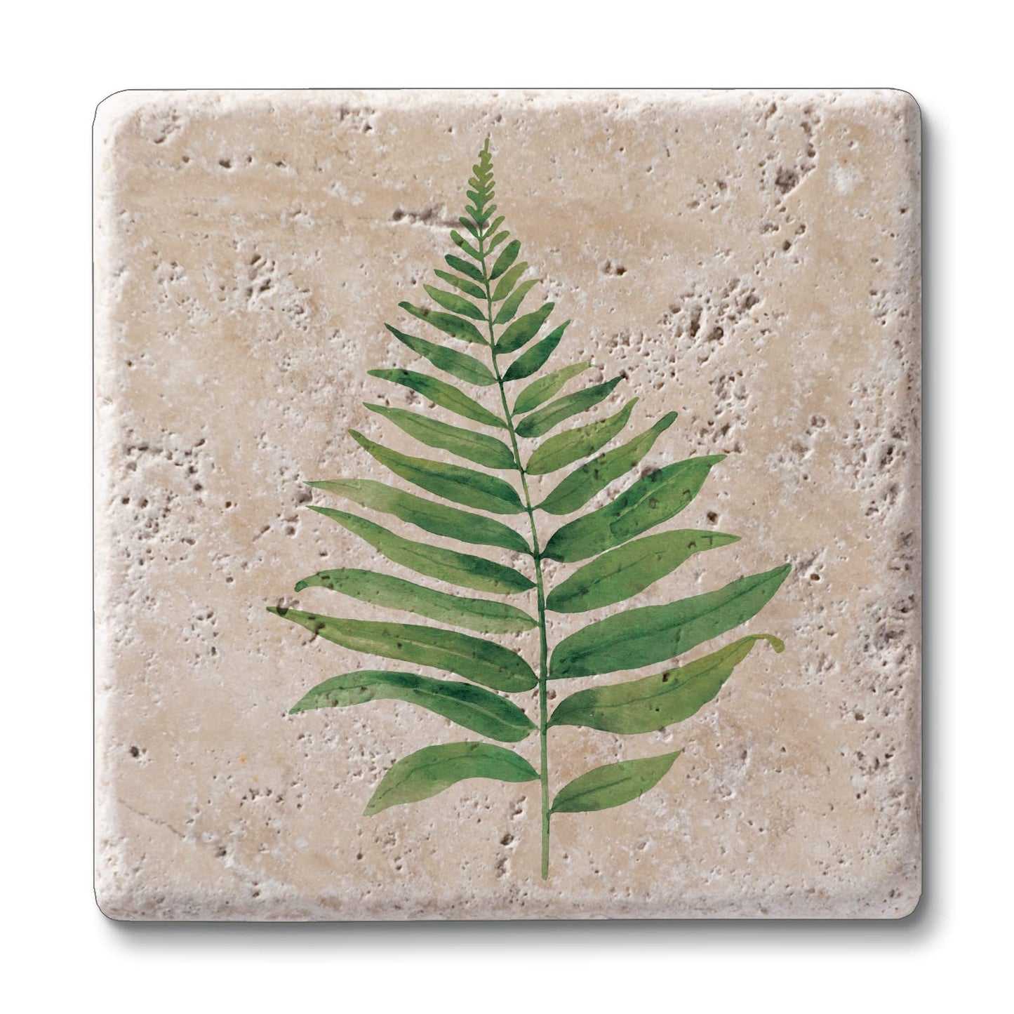 Thirstystone Fern Study 4 Pack Natural Travertine Absorbent Stone Coasters with Protective Cork Backing Manufactured in The USA