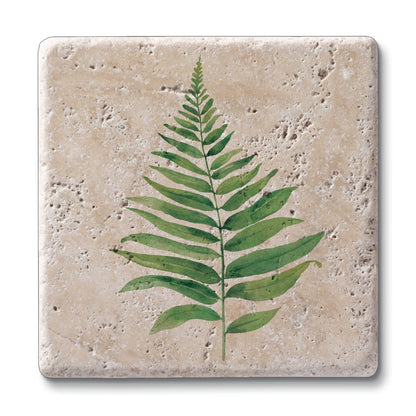 Thirstystone Fern Study 4 Pack Natural Travertine Absorbent Stone Coasters with Protective Cork Backing Manufactured in The USA
