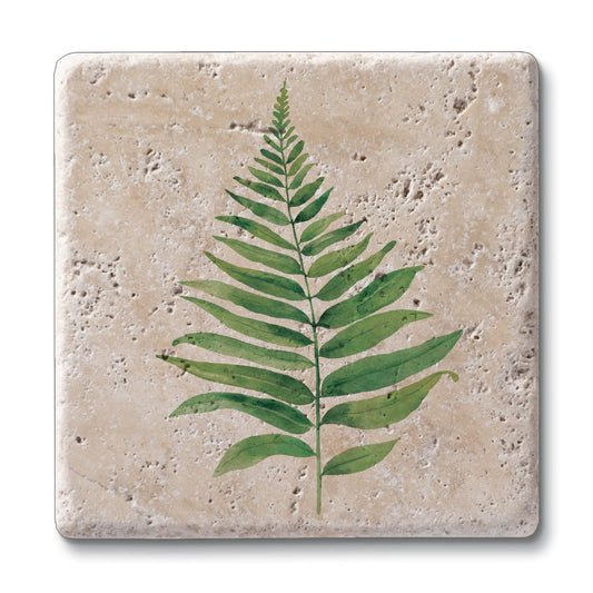 Thirstystone Fern Study 4 Pack Natural Travertine Absorbent Stone Coasters with Protective Cork Backing Manufactured in The USA