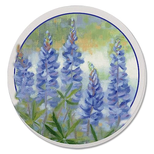 Thirstystone Bluebonnets 4 Pack Round Absorbent Stone Coasters 4" Diameter Manufactured in the USA