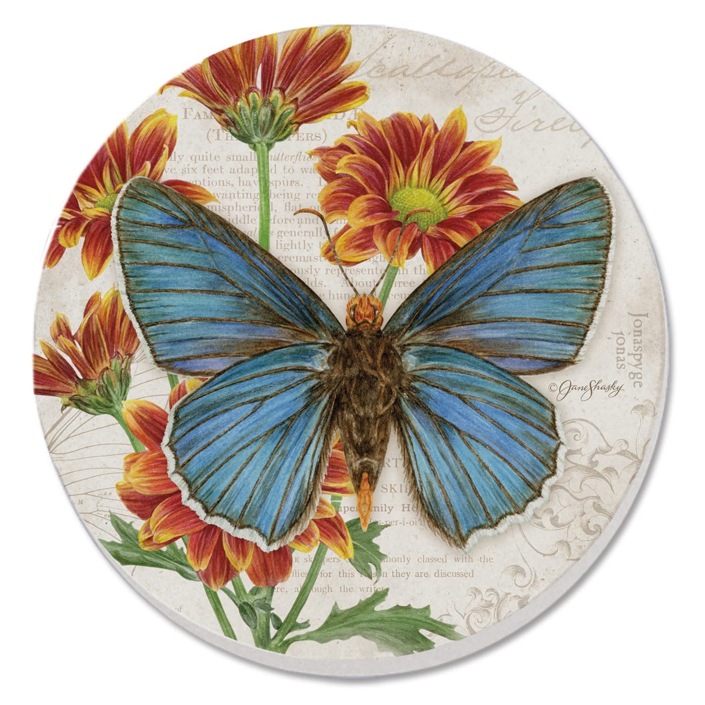 Thirstystone Scalloped Edge Firetip Butterfly Single Round Absorbent Stone Coaster with Protective Cork Backing Manufactured in The USA 4" Diameter