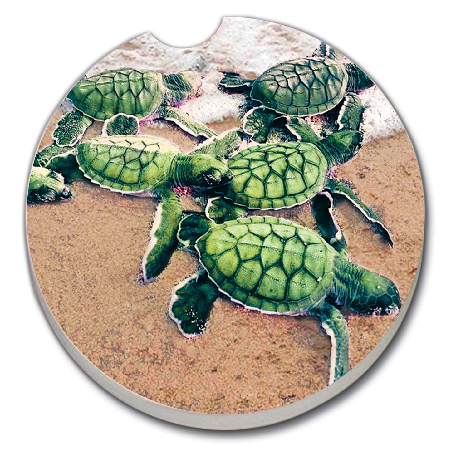 Thirstystone Baby Sea Turtles Single Absorbent Stone Coaster for Vehicle Cup Holder 2.6” Diameter Manufactured in The USA