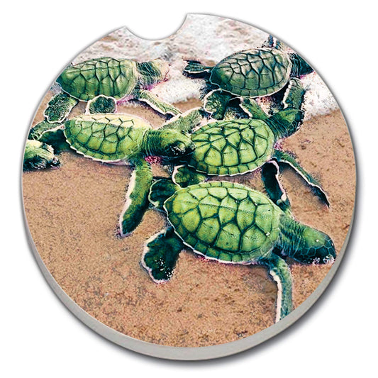 Thirstystone Baby Sea Turtles Single Absorbent Stone Coaster for Vehicle Cup Holder 2.6” Diameter Manufactured in The USA