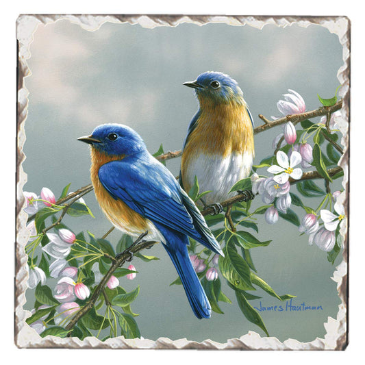 Thirstystone Bluebird Branch Single Tumbled Tile Stone Coaster with Protective Cork Backing Manufactured in The USA 4" Square, Artistic, Easily Wipes Clean