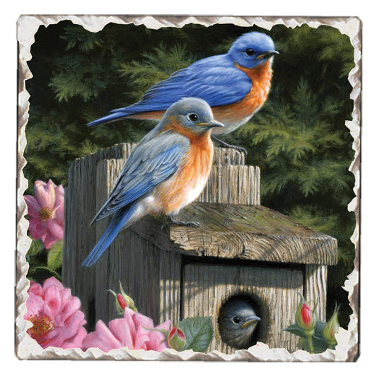 Thirstystone Bluebird Family Single Tumbled Tile Stone Coaster with Protective Cork Backing Manufactured in The USA 4" Square, Artistic, Easily Wipes Clean