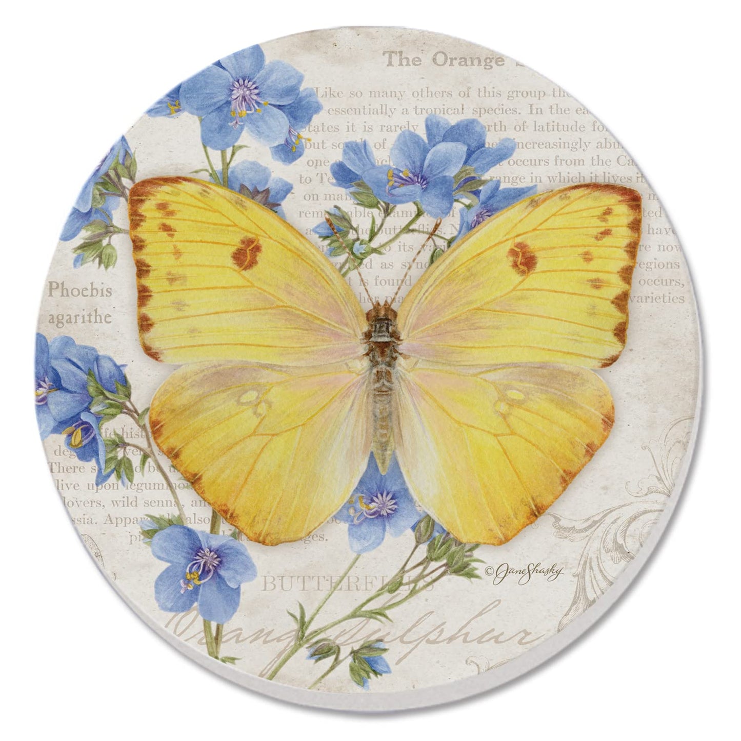 Thirstystone Orange Sulphur Butterfly Single Round Absorbent Stone Coaster with Protective Cork Backing Manufactured in The USA 4" Diameter