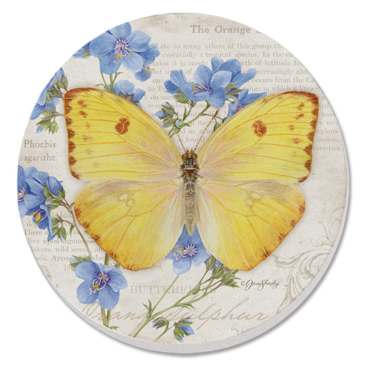 Thirstystone Orange Sulphur Butterfly Single Round Absorbent Stone Coaster with Protective Cork Backing Manufactured in The USA 4" Diameter